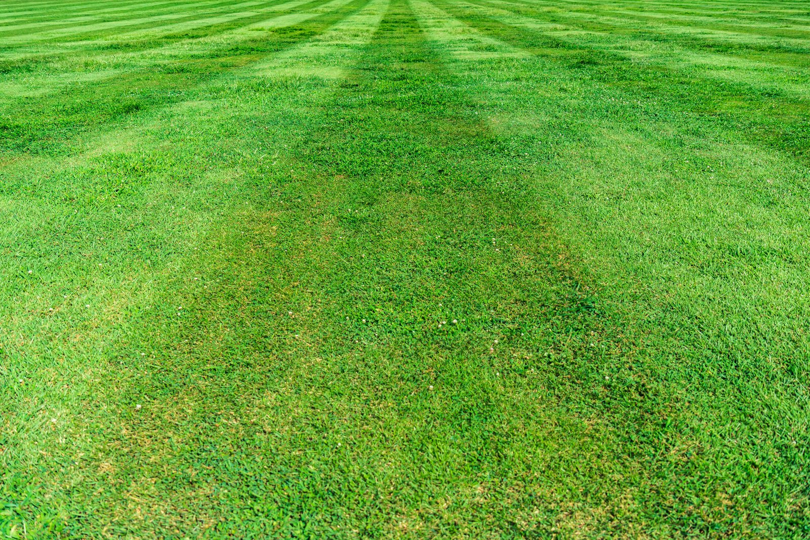 Lawn Care