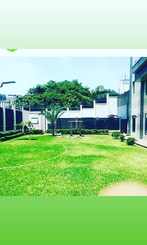 Lawn Care